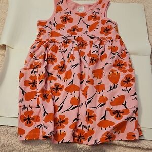 Hanna Andersson Pink and Orange Floral Dress